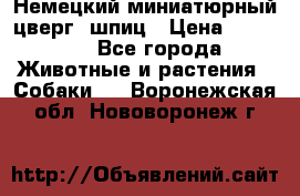 Немецкий миниатюрный(цверг) шпиц › Цена ­ 50 000 - Все города Животные и растения » Собаки   . Воронежская обл.,Нововоронеж г.